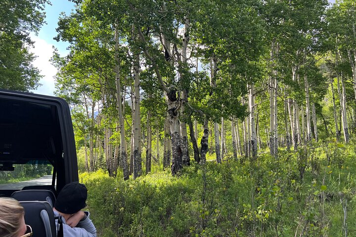 Experience Image img4