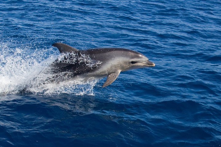 Experience Image img2