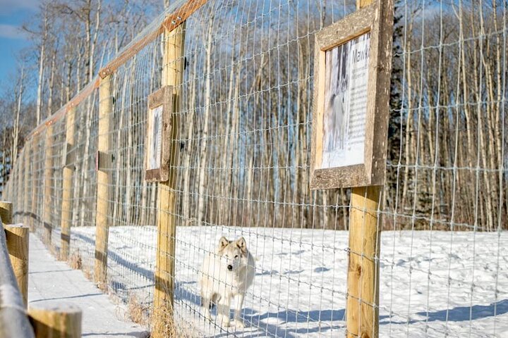 Experience Image img2