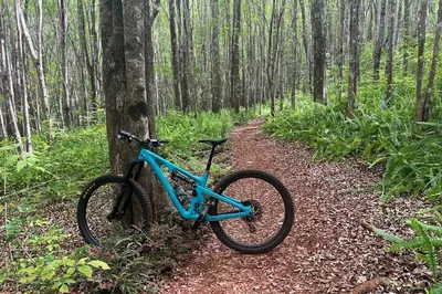 Maui Mountain Biking: Conquer Haleakala's Trails!