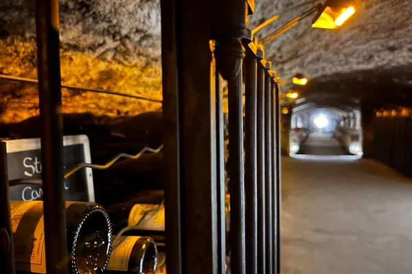 Rhone Valley Wine Tour: Uncover Châteauneuf-du-Pape & Avignon's Hidden Gems