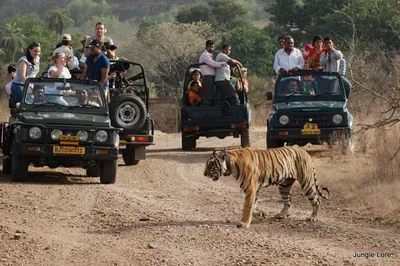 Ranthambore Tiger Safari: A Thrilling 3-Day Jaipur Adventure