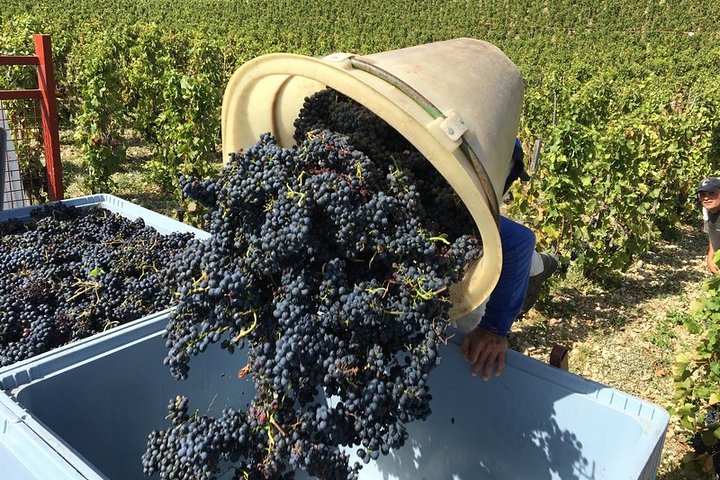 Experience Image img2