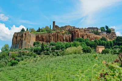 Orvieto & Montepulciano Day Trip: Wine & History!