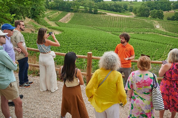 Exclusive Saint-Emilion Grand Cru: Unveiling Two Distinct Châteaux