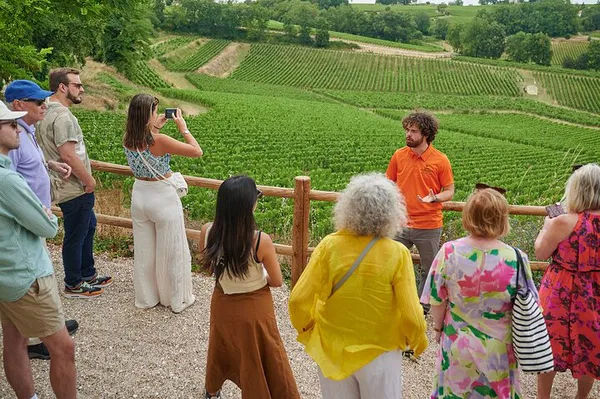 Exclusive Saint-Emilion Grand Cru: Unveiling Two Distinct Châteaux