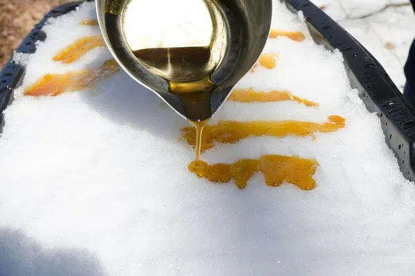 Maple Syrup Magic: Private Sugar Shack Day Trip from Montreal!
