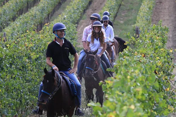 Tuscan Wine Country Adventure: Horseback Riding & Vineyard Tour from Florence
