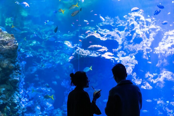 Experience Image img2