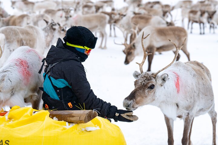 Experience Image img2