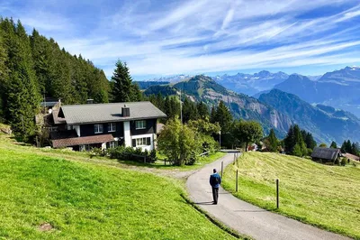 Gentle Swiss Alps Hike: A Starter's Dream from Zurich