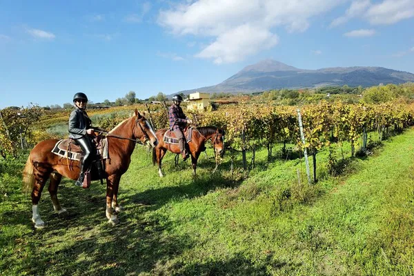 Vesuvius Horseback Ride, Wine & BBQ Under the Stars