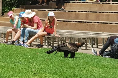 Melbourne Wildlife & Orchard Adventure: Healesville Sanctuary & Rayners Tour!