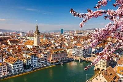 Unforgettable Private Day Trip: Basel to Zurich & Vaduz
