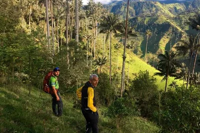 Hike Among Giants: Wax Palm Forest Adventure in Salento