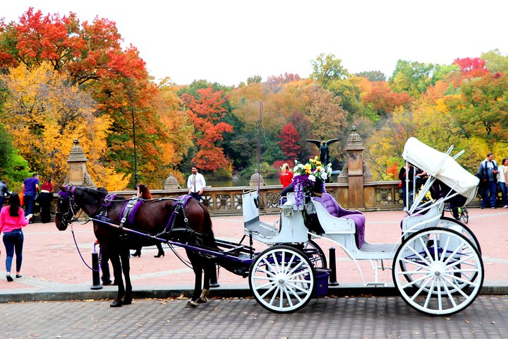 Central Park VIP Carriage Ride: Unforgettable Views & Iconic Landmarks!