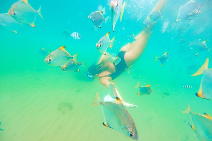 Experience Image img3