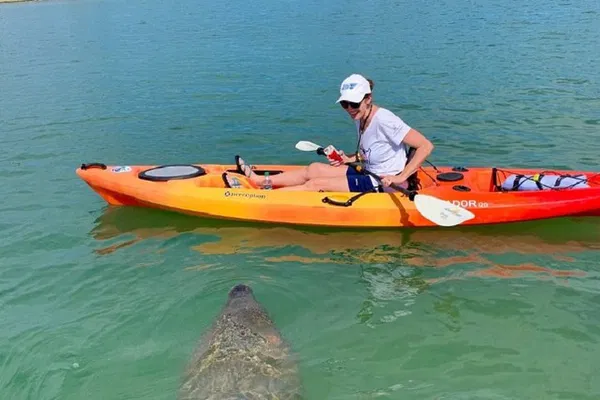 Sarasota Kayak Tour: Mangrove Tunnels & Wildlife!
