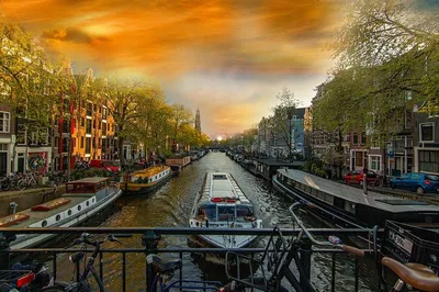 Unveiling Amsterdam's Hidden Gems: A Historical Journey with a Local Expert