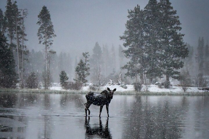 Experience Image img3