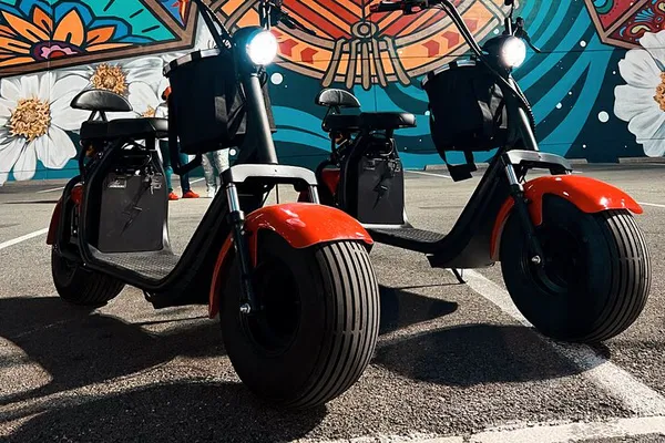 Dallas: Fat-Tire Scooter Rental - 2 Hour Adventure!