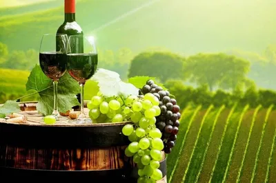 Bordeaux & Saint Émilion Wine Tour: Taste Grand Crus!
