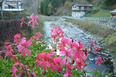 Valtellina Wine Tour from Milan: Private Day Trip