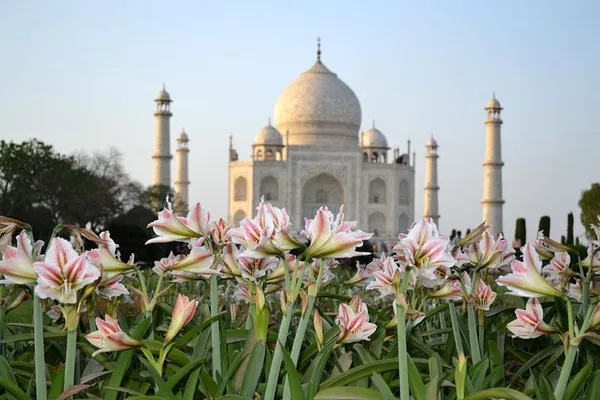 Chennai to Taj Mahal: Sunrise Spectacle & Agra Overnight Adventure