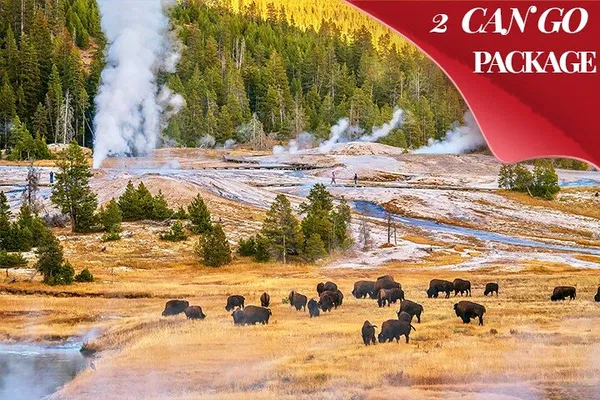 Unforgettable Yellowstone & Grand Teton: A 3-Day Small Group Adventure