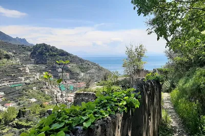 Hike the Amalfi Coast: Path of the Lemons Adventure