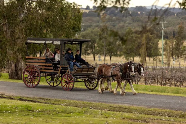 Hunter Valley Horses: Wine & Harvest Carriage Tour