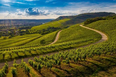 Chianti Classico Bike Tour: Pedal Through Tuscan Vineyards