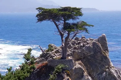 Coastal Wonders: A Private Journey Through Monterey & Carmel