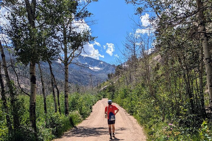 Experience Image img1