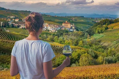 Langhe Wine Tour: Taste Alba & Turin's Best