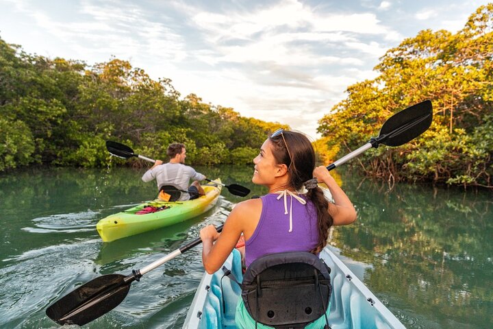Krabi's Ao Thalane: Paddle Through Emerald Mangrove Labyrinth!