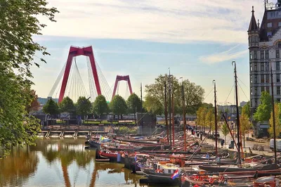 Uncover Rotterdam's Charm: A Walking Tour of Markets & Modern Wonders