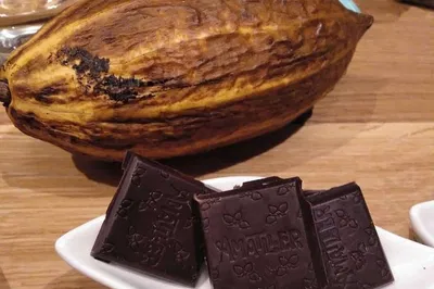 Indulge in Barcelona: Aromatic Chocolate Factory Tour & Tasting Adventure