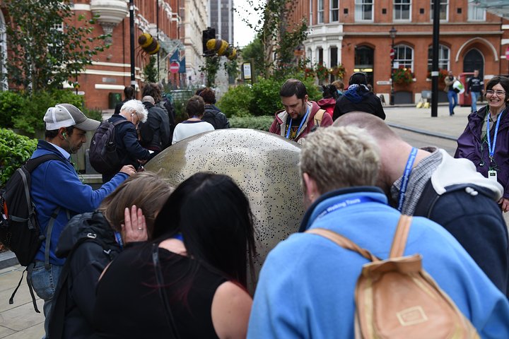 Experience Image img2