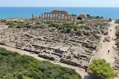 Image 3