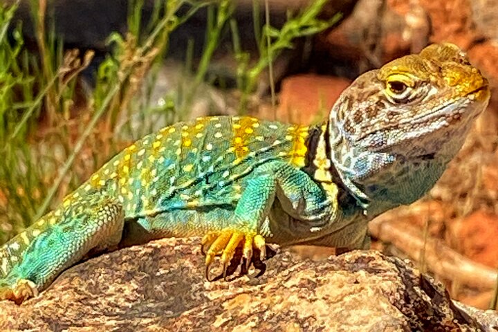 Experience Image img1