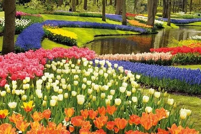Immerse Yourself in Dutch Beauty: Private Keukenhof & Delft Tour from Brussels