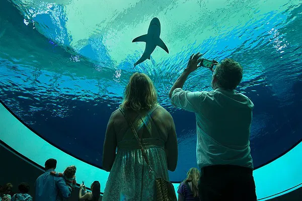 Frost Science Museum: Miami's Ultimate Family Adventure