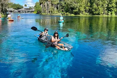 Silver Springs Clear Kayak Adventure: Witness Florida's Wildlife Wonders