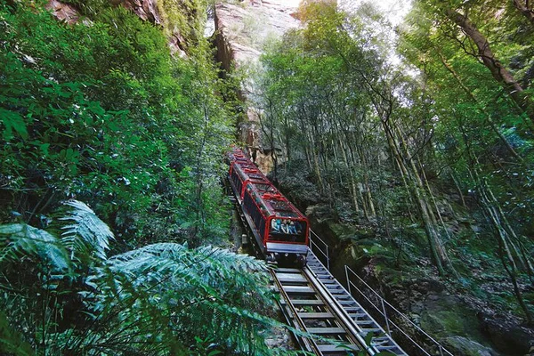 Blue Mountains Adventure: Scenic World, Zoo & Koala Photo!
