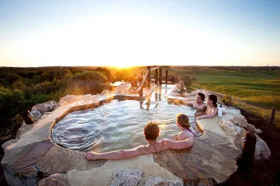 Mornington Peninsula: Wildlife, Wine & Hot Springs Tour