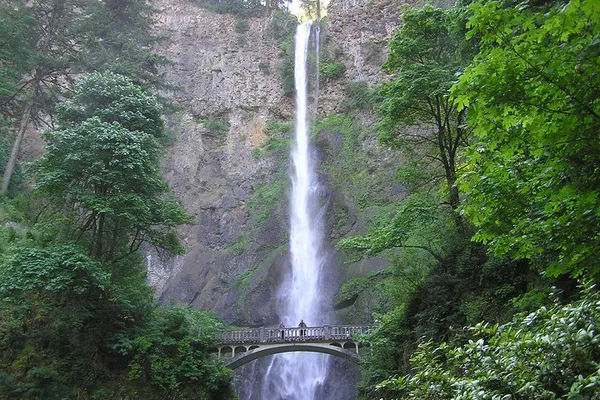Multnomah Falls & Gorge: Top-Rated Bus Tour!