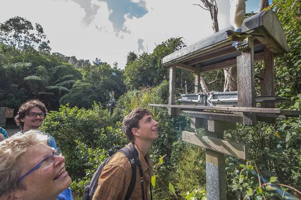 Zealandia Eco-Adventure: Discover Wellington's Wildlife Gems!