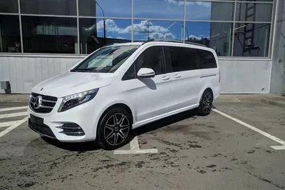 Stress-Free Transfer: Rome Airport (FCO) to Trieste Port Private Ride