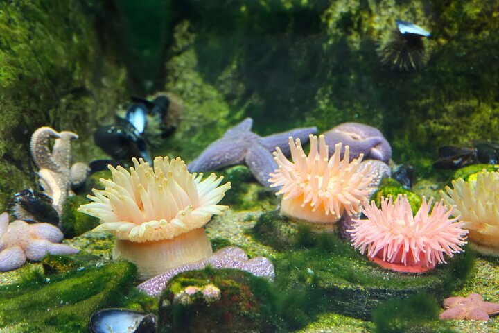 Experience Image img3